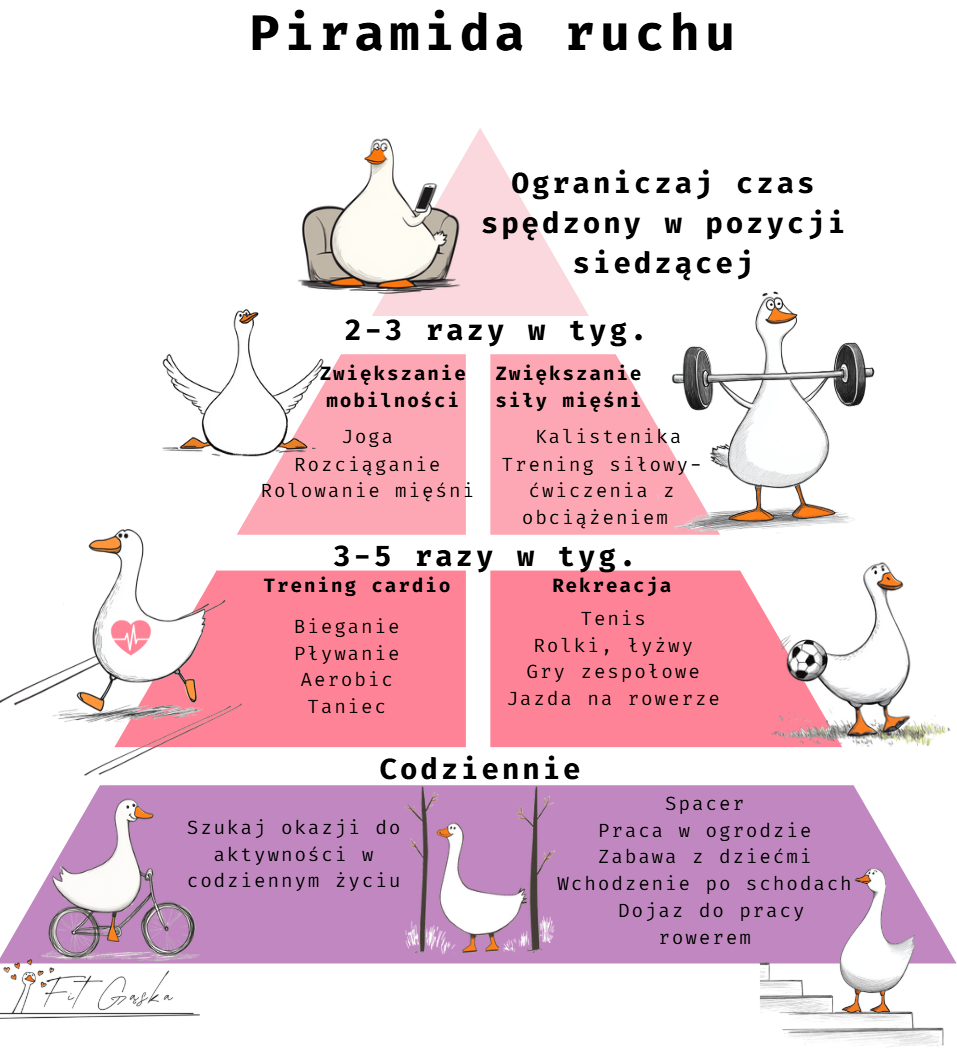 Piramida ruchu Piramida ruchu: podstawa to codzienna aktywność: spacer, wchodzenie po schodach, dojazd do pracy rowerem, wyżej - 3-5 razy w tyg. - trening wytrzymałościowy (cardio) oraz aktywność rekreacyjna np. rolki, gry zespołowe: wyżej 2-3 razy w tyg.: trening mobilności oraz trening siłowy, na samym szczycie - ograniczanie czasu spędzonego w pozycji siedzącej.